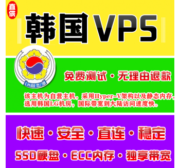 韩国VPS推荐8912M购买，搜索引擎例子